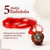 Panch Mukhi Single Rudraksha Locket