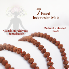 7 Faced Indonesian Mala