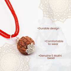 Panch Mukhi Single Rudraksha Locket