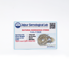 Sukh Samriddhi Kavach